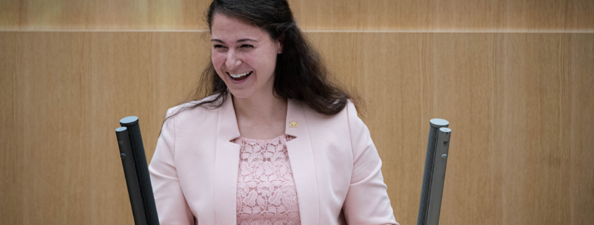 Rede im Plenum Energiewende