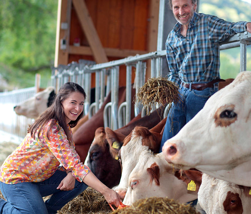 Landwirtschaft