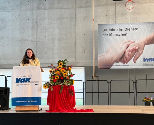 VDK2