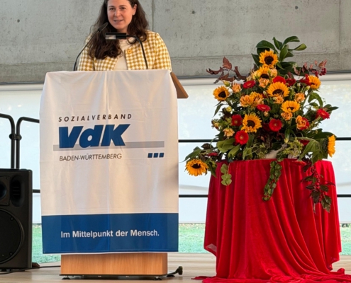 VDK3